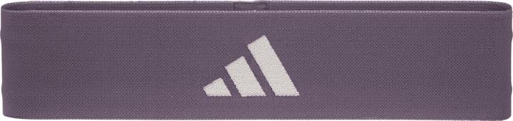 Image du produit adidas Kit de bande de résistance (Léger)