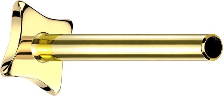 Immagine prodotto Star Piercing Asta per labret microfilettata quadrata concava placcata oro (senza ottone, Titanio G23)