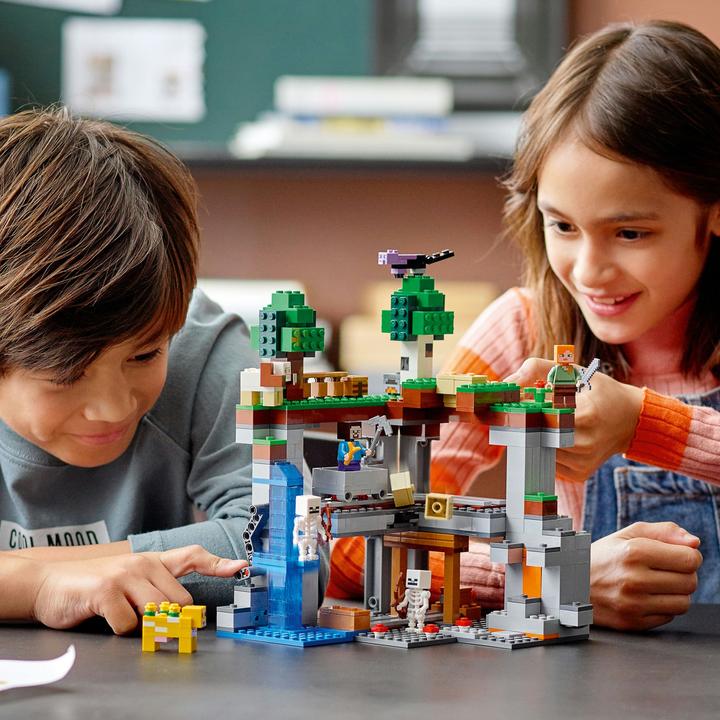 Actual product image LEGO The first adventure (21169, LEGO Minecraft)
