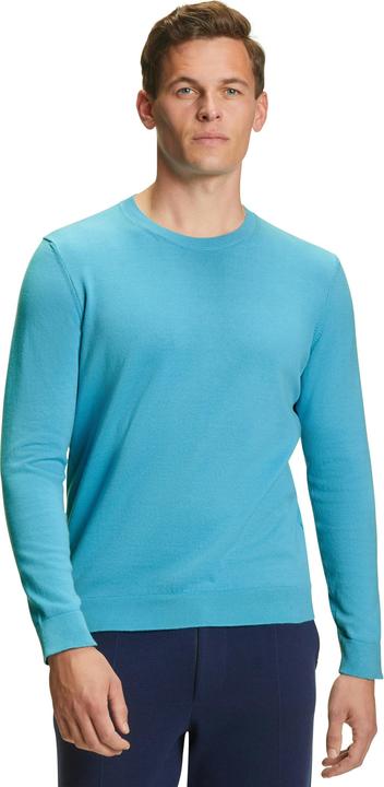 Actual product image Falke Men Pullover (S)