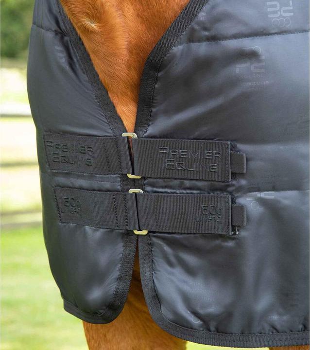 Produktbild Premier Equine 350 g
