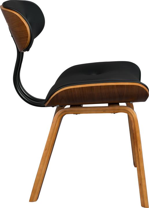 Actual product image Dutchbone Blackwood