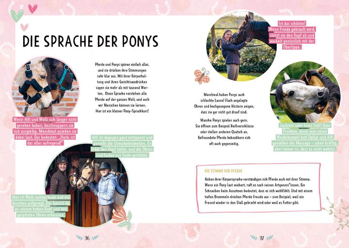 Immagine prodotto #ponylife – Mein Pferde-Mitmach-Journal von den Social-Media-Stars Lia und Lea (Tedesco, Lea Schirdewahn, Carola di Caldaia, Lia Beckmann, 2022)