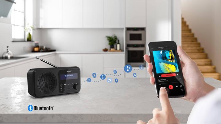 Image du produit Sharp DR-P420 (DAB+ DAB, DAB, FM, Bluetooth)