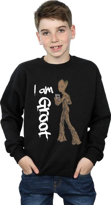 Produktbild Avengers Infinity War Graffiti Groot Sweatshirt Jungen (140, 146)