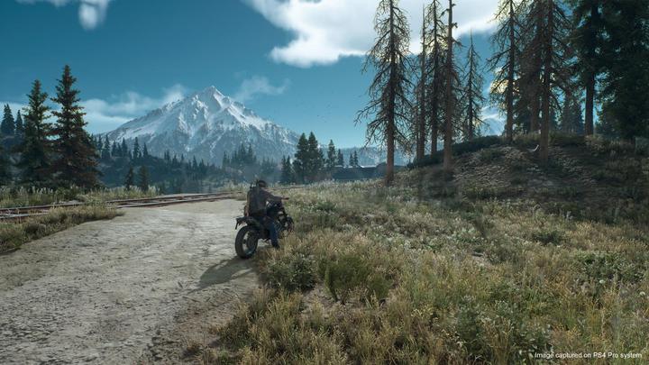 Immagine prodotto Sony I giorni sono passati sulla PS4 (PS4)