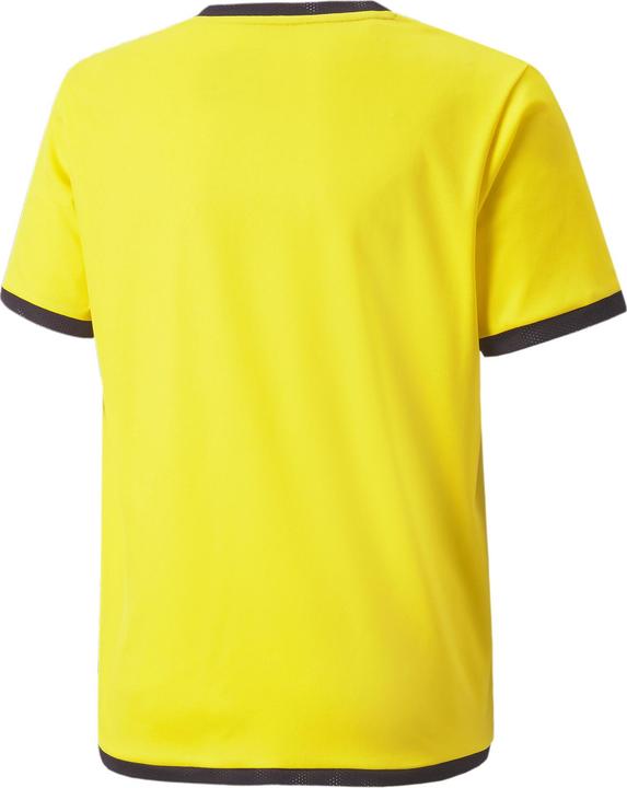 Actual product image Puma teamLIGA Jersey Jr-704925 (128)