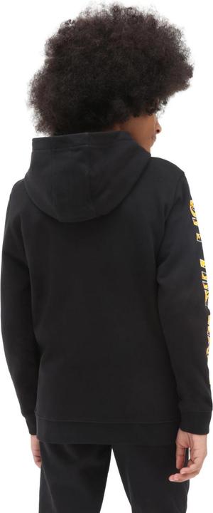 Produktbild Vans Digi Flames Hoodie Kids (S)