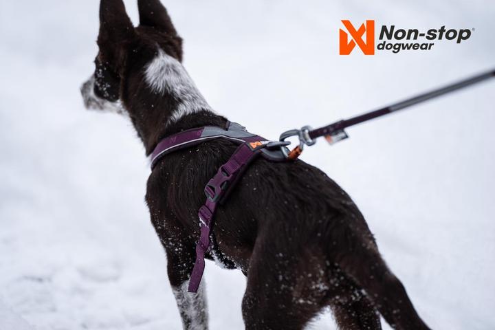 Image du produit Non-Stop Dogwear Harnais de ligne 5.0 Orange 5 (5, Chien, Général)