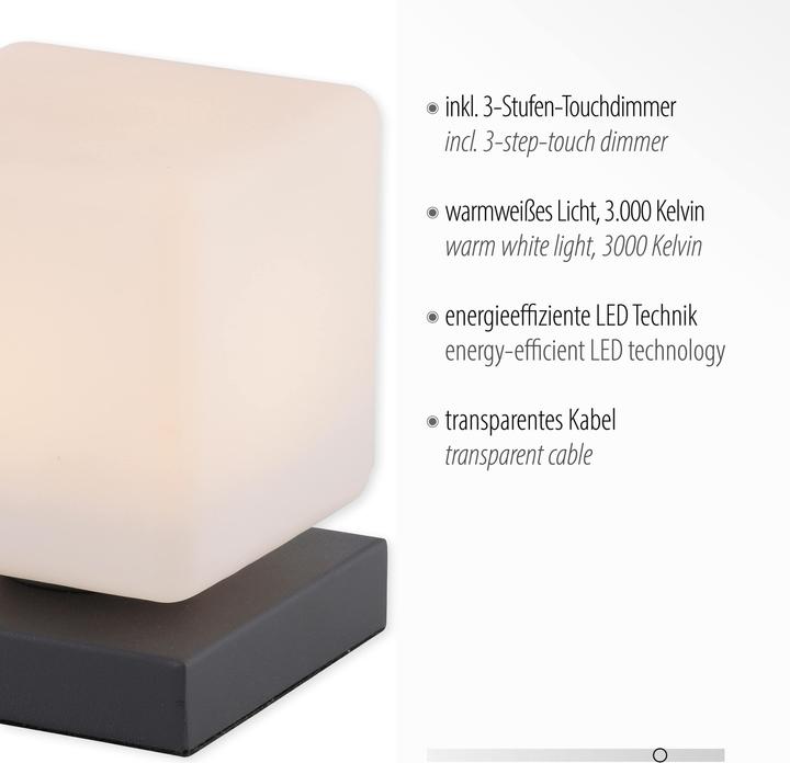 Image du produit Paul Neuhaus Dadoa (580 lm)