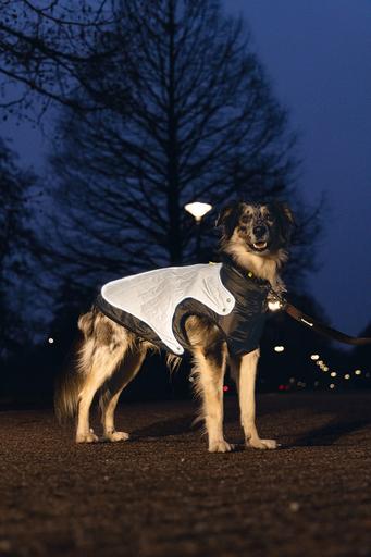 Produktbild Beeztees Allia (52, Hundemantel)