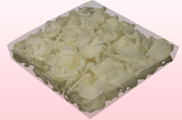 Immagine prodotto CreaDiva Petali di rosa veri, bianchi 2 litri