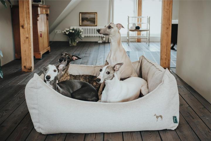 Immagine prodotto Hunter Livingston (Cane)