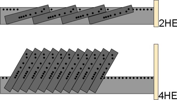 Actual product image Werkstarck Form trays set of 6