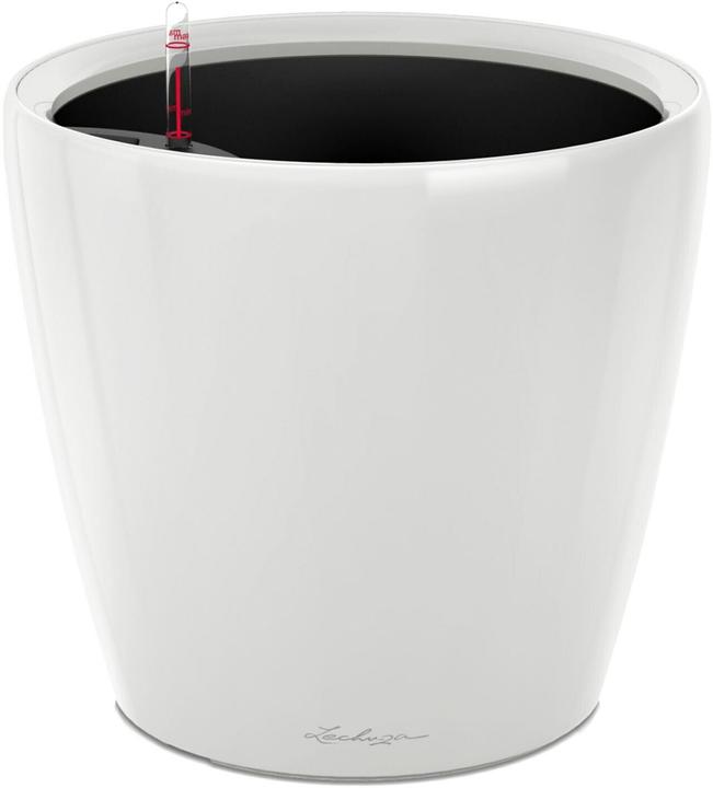 Immagine prodotto Lechuza Classico (22 cm)