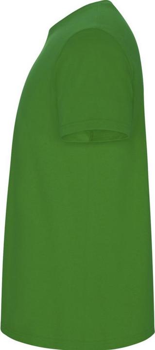 Image du produit Alpinia - T-shirt STAFFORD - Enfant (128)