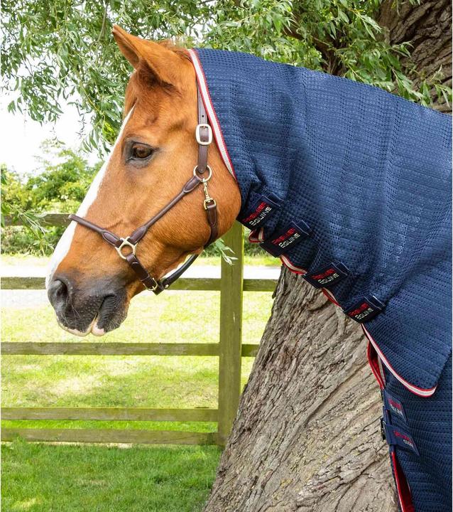 Immagine prodotto Premier Equine Dry-Tech (191 cm)