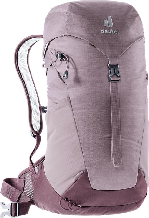 Grape, Aubergine