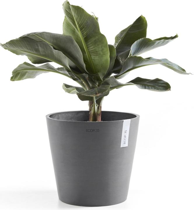 Produktbild Ecopots Amsterdam + Wasserbehälter (40 cm)