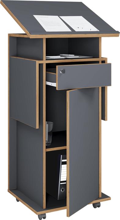 Actual product image VCM Holz Stehpult Rednerpult Rollen Salia T