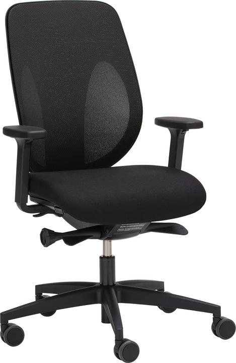 Image du produit Giroflex 353 Netzrücken