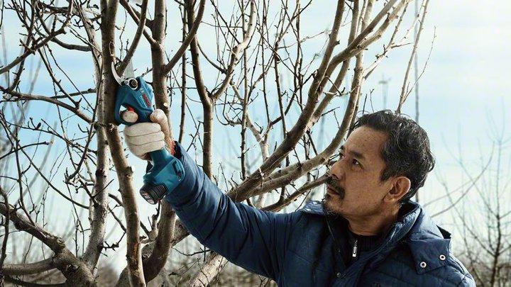 Produktbild Bosch Professional Pro Pruner