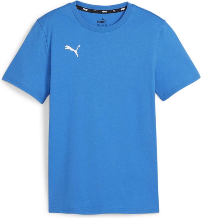 Actual product image Puma teamGOAL Casuals Tee Jr (164)