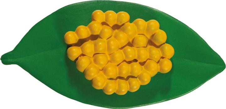 Actual product image HCM Kinzel Ladybug life cycle