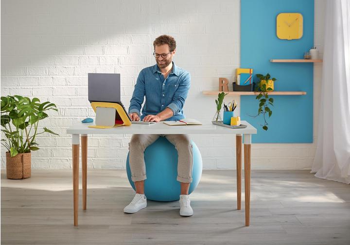 Produktbild Leitz Ergo Cosy Active Sitzball (65 cm)