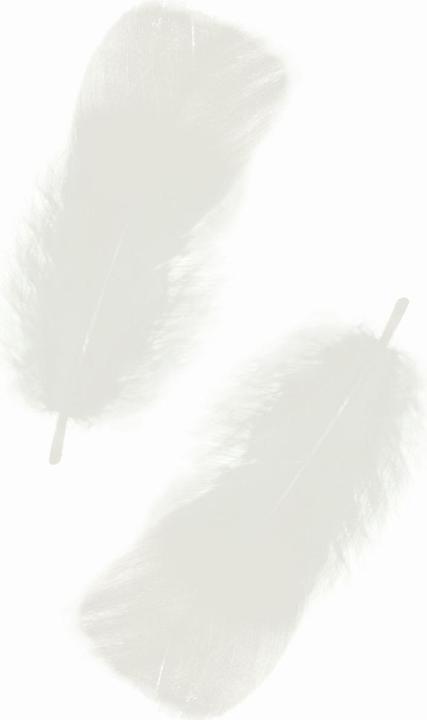 Produktbild Ursus Federn