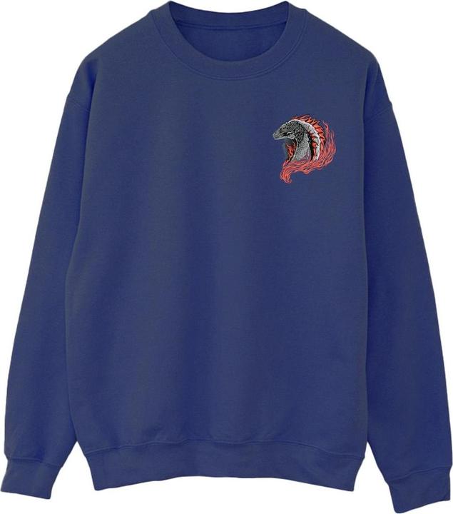 Image du produit Game of Thrones - Sweat RED DRAGON POCKET - Homme (5XL)