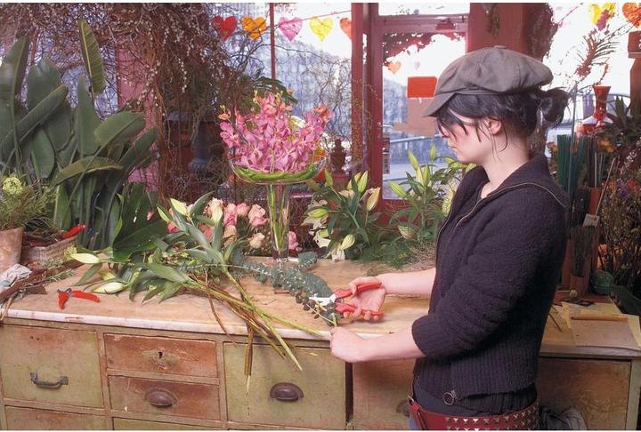 Produktbild Felco Blumen-/Früchtescheren