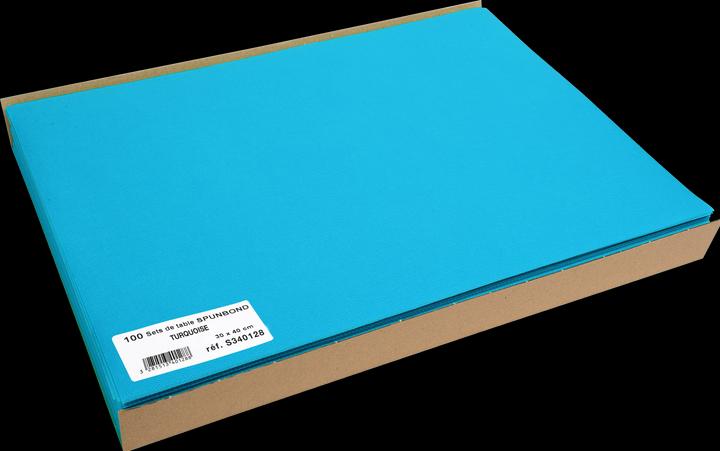 Actual product image Exacompta Placemats Spunbond T urq, 30x40, PK100 (100 x, 30 x 40 cm)