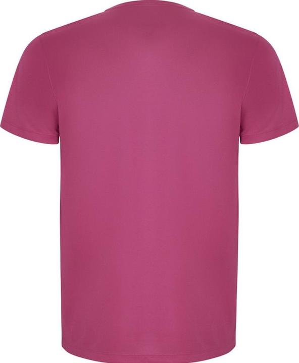 Actual product image Alpinia Mens Imola Short-Sleeved Sports T-Shirt (S)
