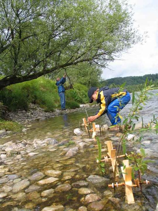 Produktbild Kraul Wasserrad