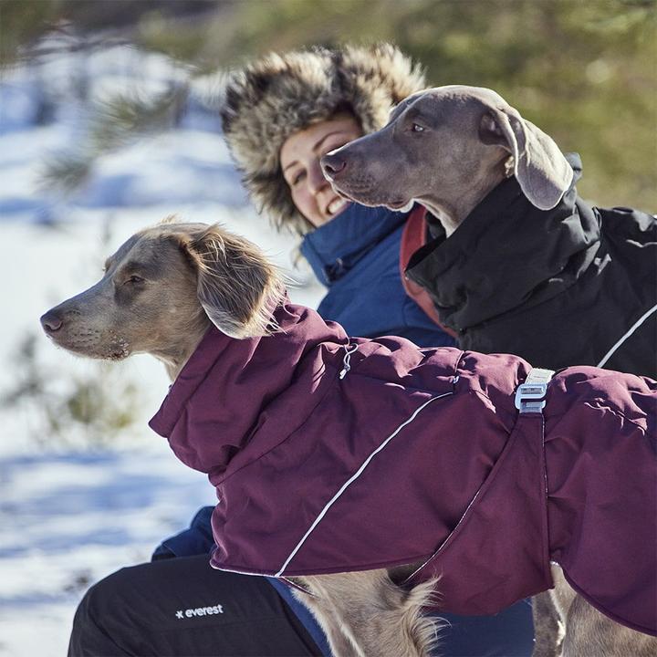 Immagine prodotto Hurtta Scaldino estremo V3 Eco Blue, 30 cm (30, Cappotto per cani)