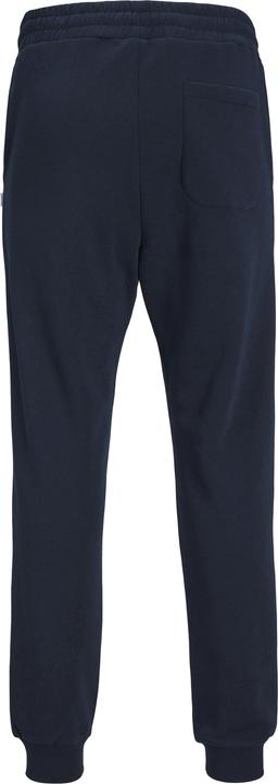 Actual product image Jack & Jones Gordon Bradley Sweatpants (L)