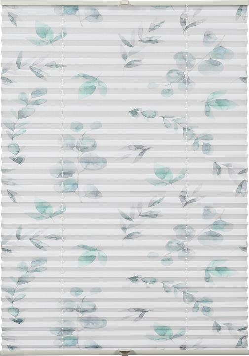 Produktbild Gardinia Plissee Concept zum Klemmen Flowers and Plants Zweig (70 x 130 cm)