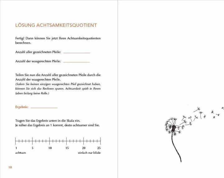 Produktbild Achtsam morden - Das Übungsbuch nach der Joschka-Breitner-Methode (Deutsch, Karsten Dusse, 2021)