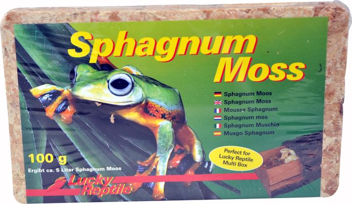 Image du produit Lucky Reptile Mousse pour terrarium Sphagnum