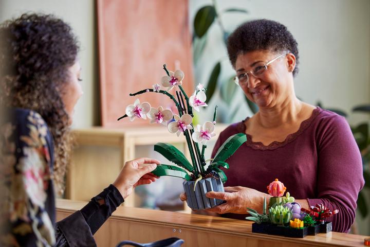 Image du produit LEGO Orchidée (10311, LEGO Botanical)