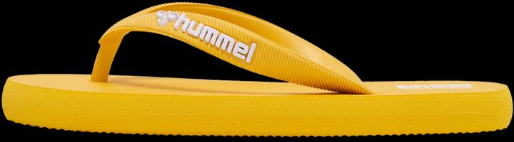 Image du produit hummel Flip Flop Jr (39)