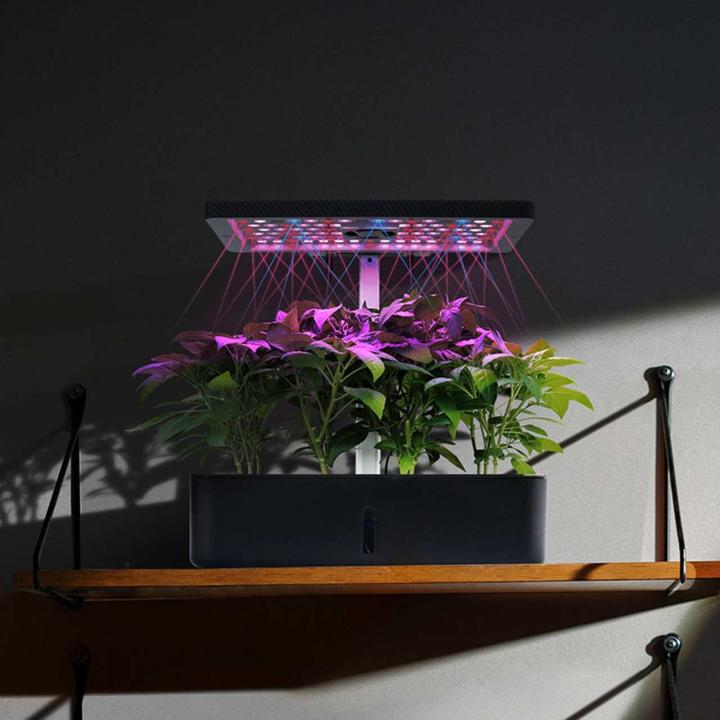 Actual product image Litrax LX202 - ROBIN salad garden