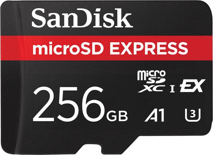 SanDisk Express (256 GB, microSDXC, U3, UHS-I)