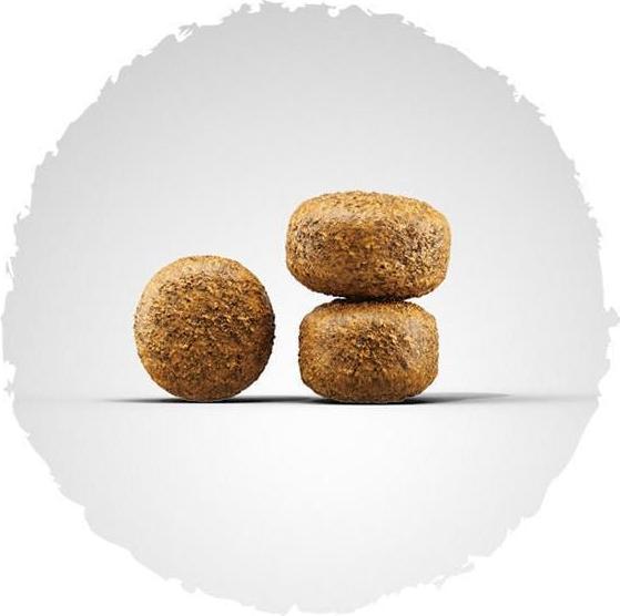 Actual product image Josera Balance 12.5kg (Senior, 1 pcs., 12500 g)