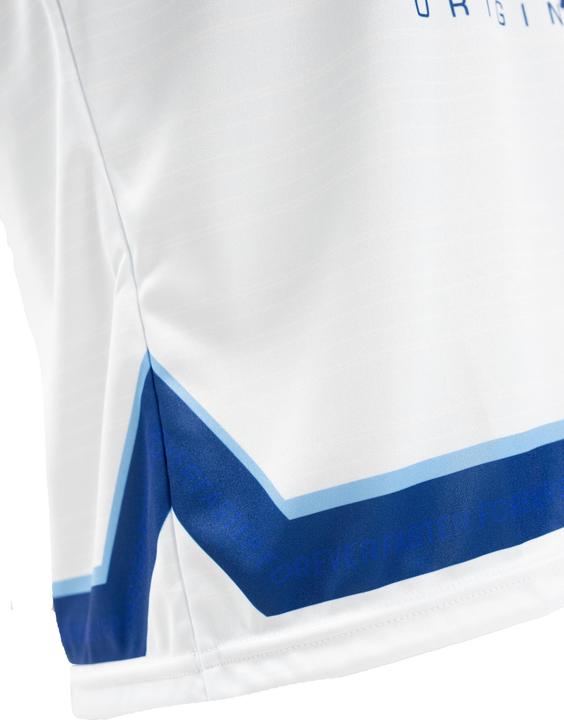 Actual product image Puma jersey hb 2024/25 (M)