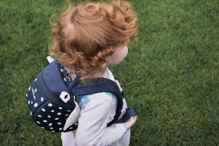 Produktbild Littlelife Stingray (2 l)