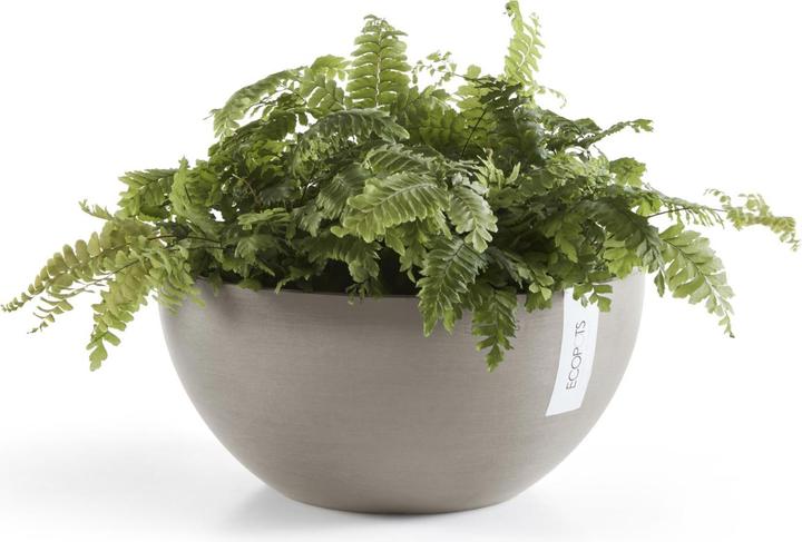 Actual product image Ecopot Brussels (25 cm)