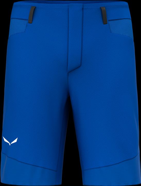 Salewa Agner DST Shorts