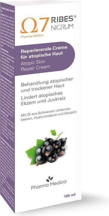 Actual product image Ribes Nigrum Repairing Cream for Atopic Skin Tb 100 ml (Body cream, 100 ml)